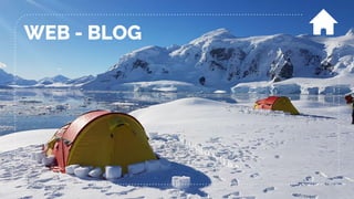 WEB - BLOG
 