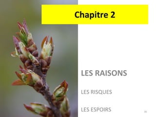 Chapitre 2 LES RAISONS LES RISQUES LES ESPOIRS 