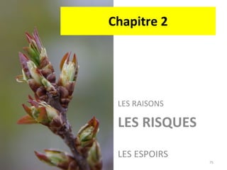 Chapitre 2 LES RAISONS LES RISQUES LES ESPOIRS 