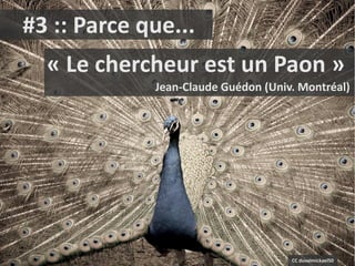 #3 :: Parce que...
  « Le chercheur est un Paon »
             Jean-Claude Guédon (Univ. Montréal)




                                     CC duvalmickael50
 