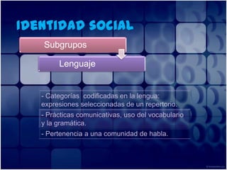 Identidad social