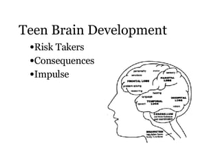 Teen Brain Development <ul><li>Risk Takers </li></ul><ul><li>Consequences </li></ul><ul><li>Impulse </li></ul>