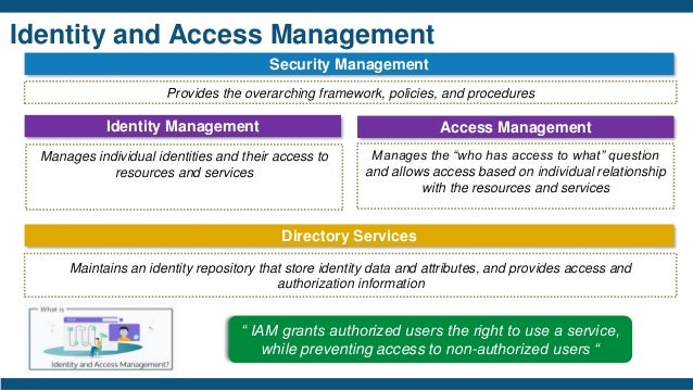 New Identity-and-Access-Management-Designer Dumps Sheet