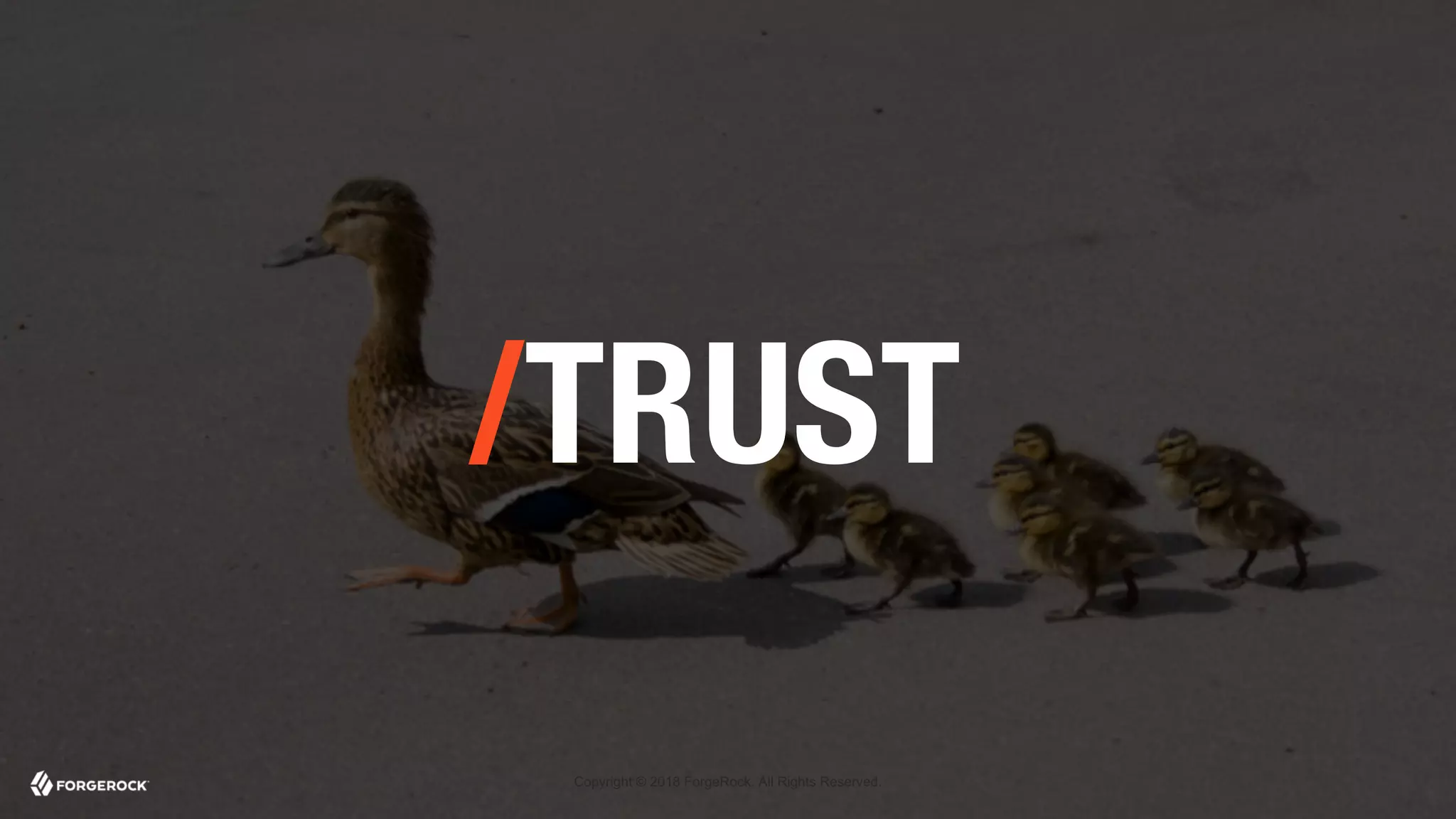 Copyright © 2018 ForgeRock. All Rights Reserved.
/TRUST
 