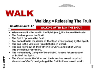 ©IOM AMERICA 
ChristAsLife@iomamerica.org 
Reproduction Allowed for Classroom Use 
Galatians 5:16-17 
•When we walk after and in the Spirit (sap), it is impossible to sin. 
•The flesh opposes the Sprit. 
•The Spirit opposes the flesh. 
•You cannot fulfill the desire of the flesh while walking by the Spirit. 
•The sap is the Life juice (Spirit) that is in Christ. 
•The sap flows out of the Father into Christand out of Christ 
intothe believer (branch). 
•The human body (temple of Holy Spirit) is used for production 
offruit of the Spirit. 
•The Vinedresser, the Vine, andthe branches are all required 
elements of God’s design to get the fruit to the unsaved world. 
RAW-103 
274 
 