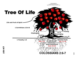 ©IOM AMERICA 
ChristAsLife@iomamerica.org 
Reproduction Allowed for Classroom Use 
288 
PD-105 
1 Corinthians 13:4-8 
1 Timothy 1:5 Pure Heart 
Phil. 2:3 
Good Conscience 
Acts 24:16 
Genuine Faith 
Col. 2:7-8 
LV-101 
Life and Fruit of Spirit 
 