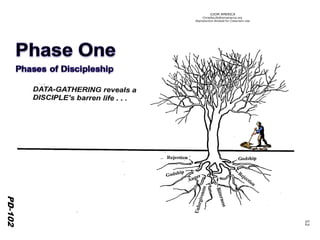 ©IOM AMERICA 
ChristAsLife@iomamerica.org 
Reproduction Allowed for Classroom Use 
52 
PD-101 
PD-102 
 