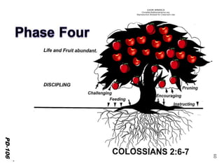 ©IOM AMERICA 
ChristAsLife@iomamerica.org 
Reproduction Allowed for Classroom Use 
60 
PD-105 
PD-105 
PD-106 
 