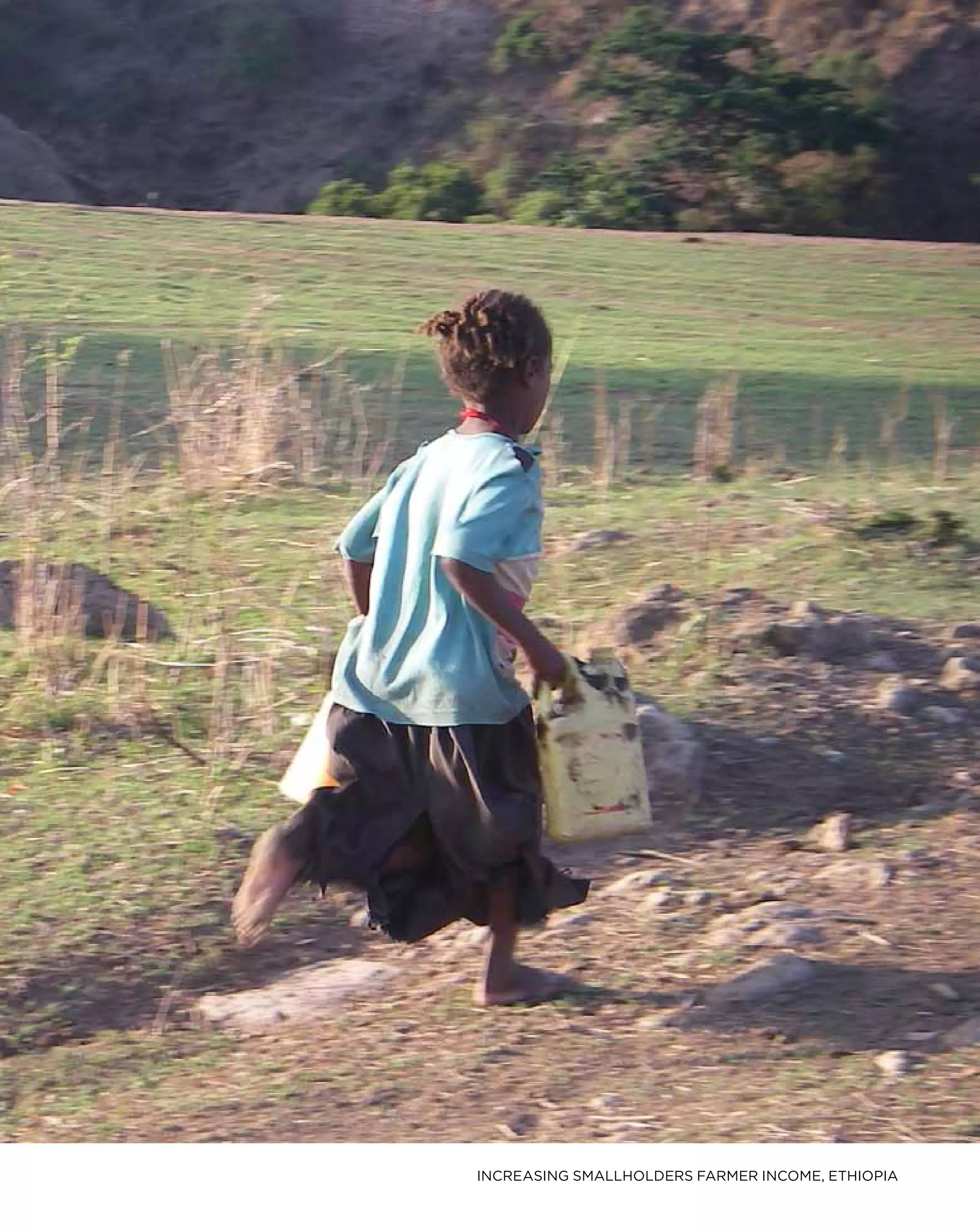 INCREASING SMALLHOLDERS FARMER INCOME, ethiopia
 