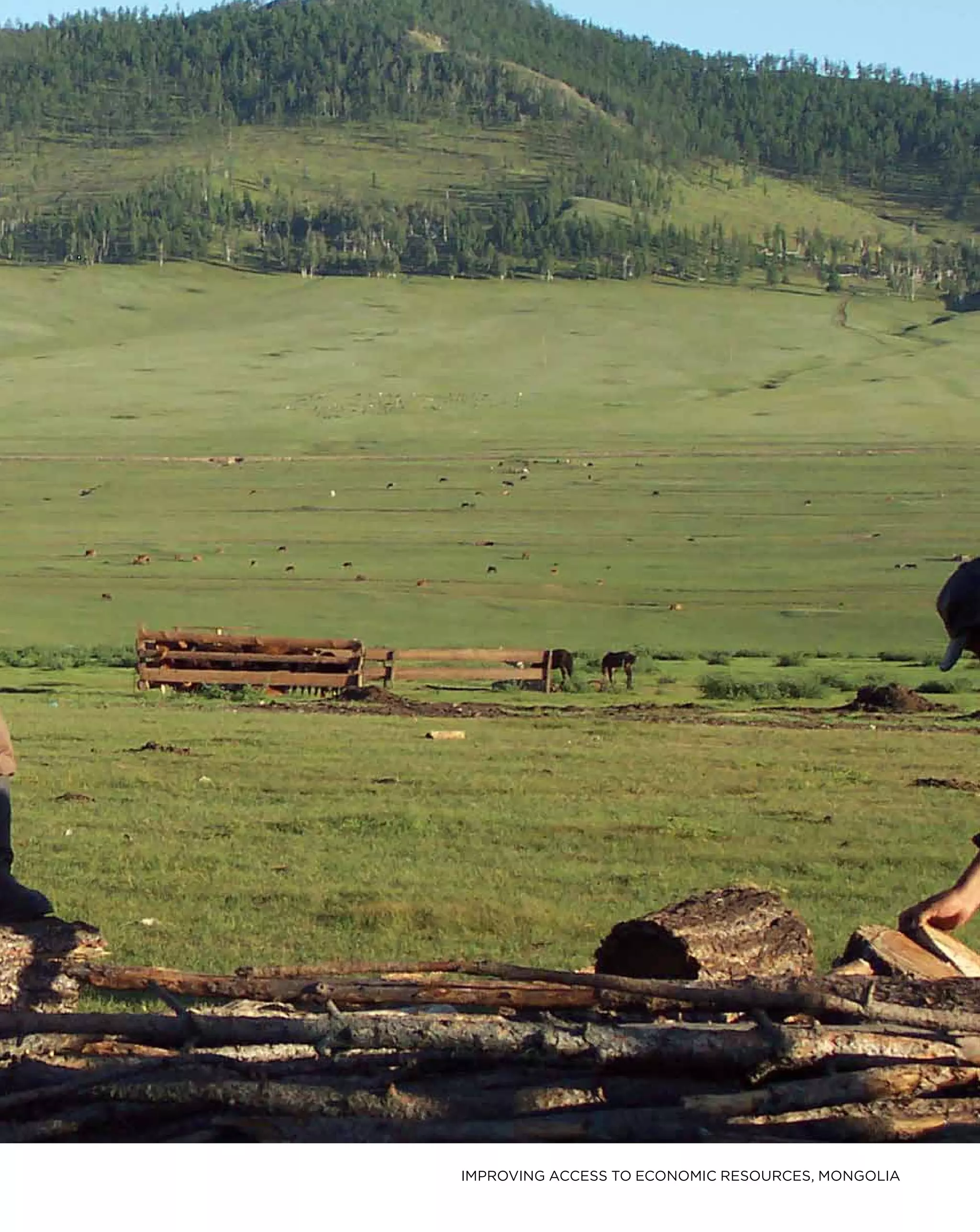 IMPROVING ACCESS TO ECONOMIC RESOURCES, MONGOLIA
 