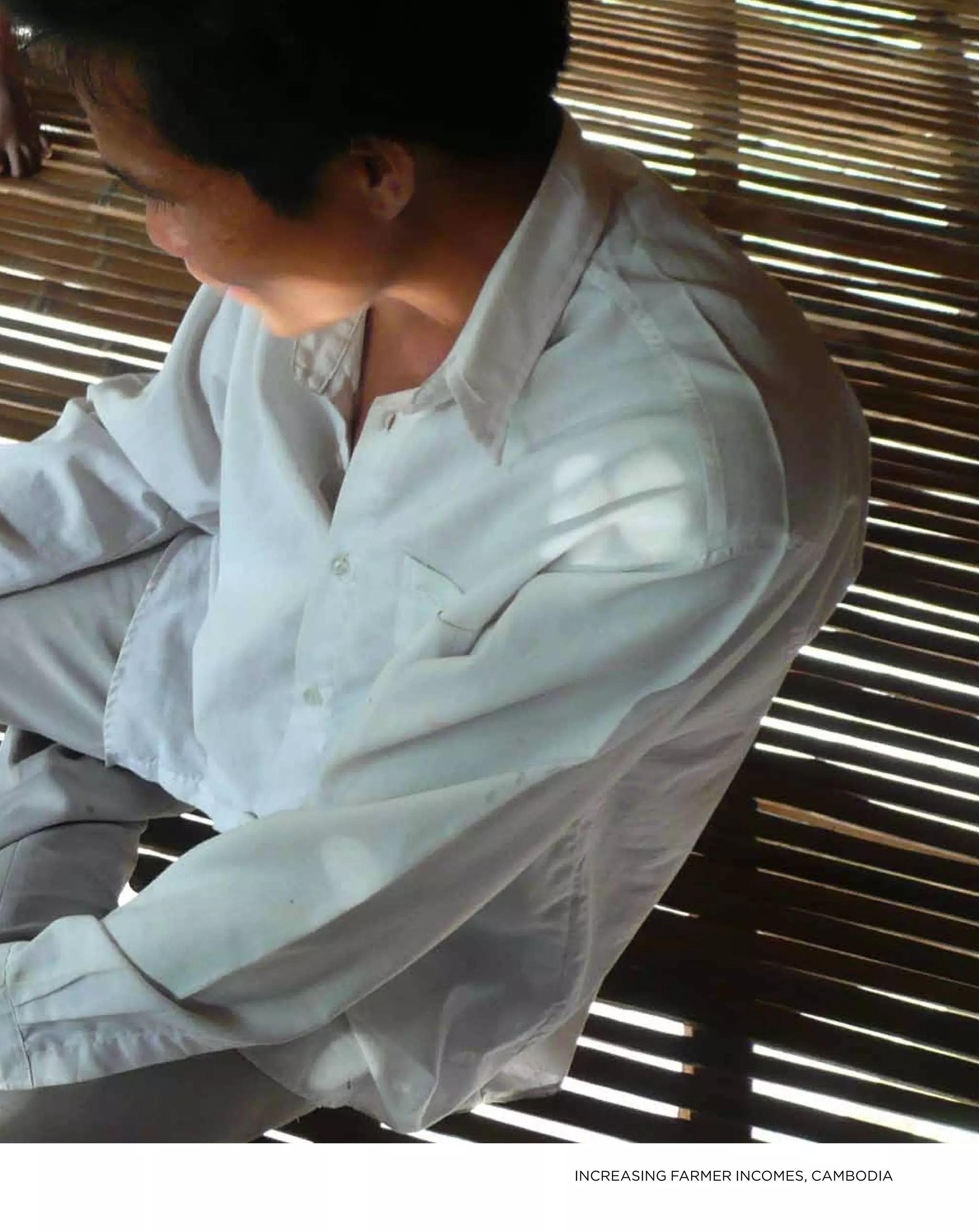 INCREASING FARMER INCOMES, CAMBODIA
 