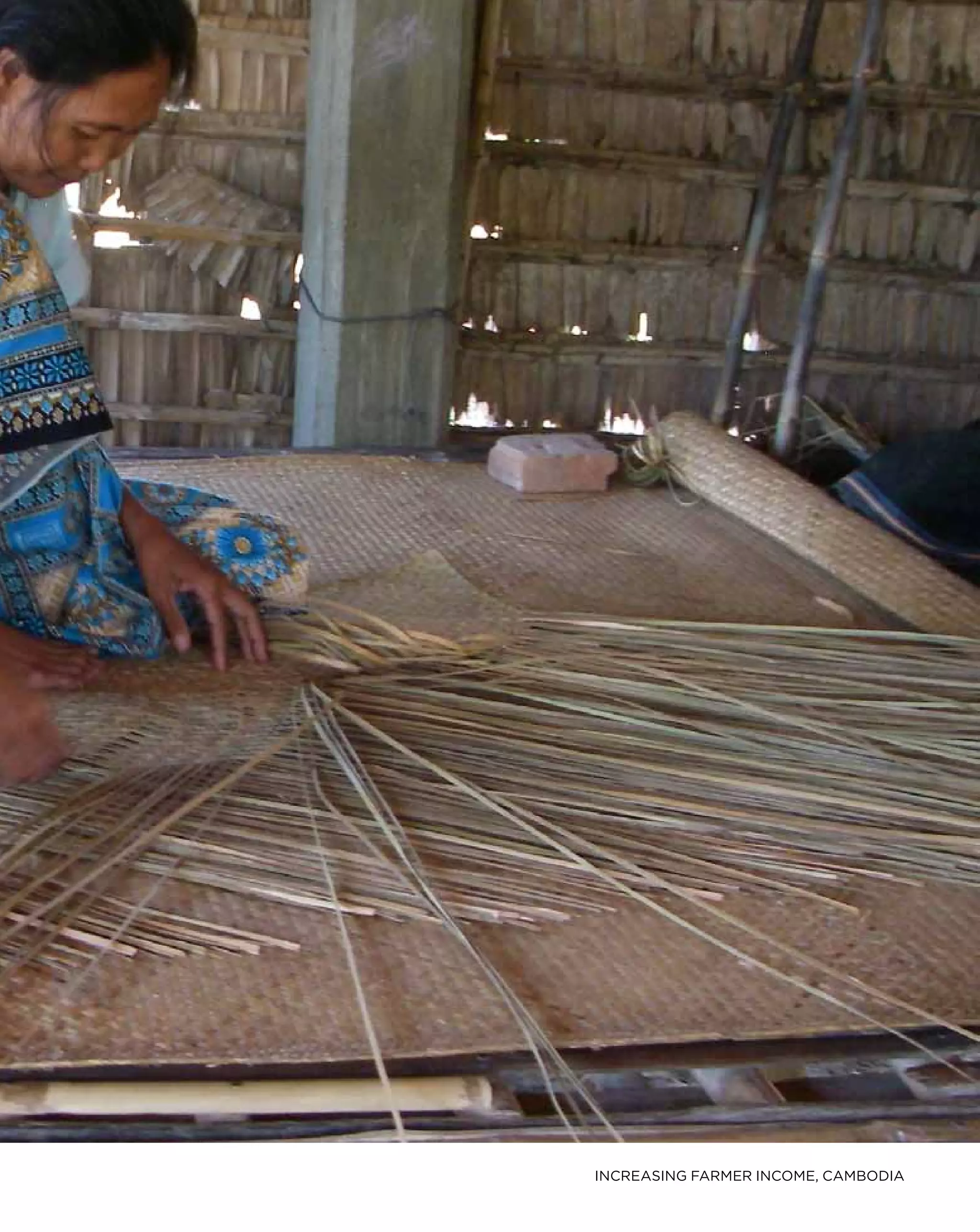 increasing farmer income, cambodia
 
