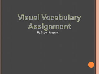 Visual Vocabulary Assignment By SkylerSargeant 