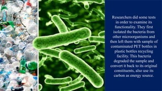 Plastic eating bacteria - Ideonella sakaiensis | PPTX