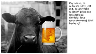 Czy wiesz, że
w Polsce silny jest
mit, że goryczka
w lanym piwie nie
jest zasługą
chmielu, lecz
sproszkowanej żółci
bydlęcej?
 