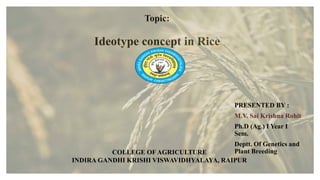 Topic:
Ideotype concept in Rice
PRESENTED BY :
M.V. Sai Krishna Rohit
Ph.D (Ag.) I Year I
Sem.
Deptt. Of Genetics and
Plant Breeding
COLLEGE OF AGRICULTURE
INDIRA GANDHI KRISHI VISWAVIDHYALAYA, RAIPUR
 