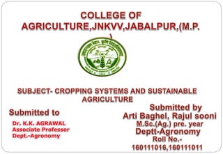 Dr. K.K. AGRAWAL
Associate Professor
Dept.-Agronomy
 