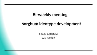 Bi-weekly meeting
sorghum ideotype development
Fikadu Getachew
Apr 5,2022
 