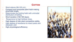 COTTON
1. Short stature (90-120 cm) ,
2. Compact and sympodial plant habit making
pyramidal shape,
3. Determinate the fruiting habit with unimodal
distribution of bolling,
4. Short duration (150-165 days),
5. Responsive to high fertilizer dose,
6. High degree of inter plant competitive ability,
7. High degree of resistance to insect pests and
diseases, and
8. High physiological efficiency
 