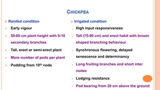  Rainfed condition
 Early vigour
 50-60 cm plant height with 9-10
secondary branches
 Tall, erect or semi-erect plant
 More number of pods per plant
 Podding from 10th node
 Irrigated condition
 High input responsiveness
 Tall (75-90 cm) and erect habit with broom
shaped branching behaviour
 Synchronous flowering, delayed
senescence and determinancy
 Long fruiting branches and short inter
nodes
 Lodging resistance
 Pod bearing from 20 cm above the ground
 