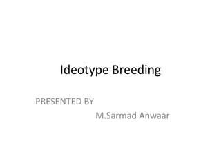 Ideotype Breeding
PRESENTED BY
M.Sarmad Anwaar
 