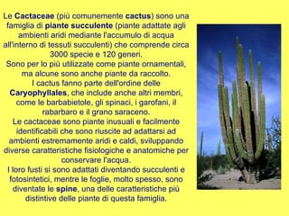 Le  Cactaceae  (più comunemente  cactus ) sono una famiglia di  piante succulente  (piante adattate agli ambienti aridi mediante l'accumulo di acqua all'interno di tessuti succulenti) che comprende circa 3000 specie e 120 generi. Sono per lo più utilizzate come piante ornamentali, ma alcune sono anche piante da raccolto. I cactus fanno parte dell'ordine delle  Caryophyllales , che include anche altri membri, come le barbabietole, gli spinaci, i garofani, il rabarbaro e il grano saraceno. Le cactaceae sono piante inusuali e facilmente identificabili che sono riuscite ad adattarsi ad ambienti estremamente aridi e caldi, sviluppando diverse caratteristiche fisiologiche e anatomiche per conservare l'acqua. I loro fusti si sono adattati diventando succulenti e fotosintetici, mentre le foglie, molto spesso, sono diventate le  spine , una delle caratteristiche più distintive delle piante di questa famiglia. 