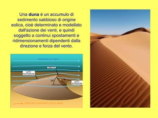 Una  duna  è un accumulo di sedimento sabbioso di origine eolica, cioè determinato e modellato dall'azione dei venti, e quindi soggetto a continui spostamenti e ridimensionamenti dipendenti dalla direzione e forza del vento. 