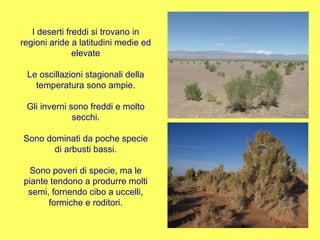 I deserti freddi si trovano in regioni aride a latitudini medie ed elevate Le oscillazioni stagionali della temperatura sono ampie. Gli inverni sono freddi e molto secchi. Sono dominati da poche specie di arbusti bassi. Sono poveri di specie, ma le piante tendono a produrre molti semi, fornendo cibo a uccelli, formiche e roditori. 