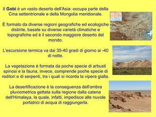 Il  Gobi  è un vasto deserto dell'Asia: occupa parte della Cina settentrionale e della Mongolia meridionale. È formato da diverse regioni geografiche ed ecologiche distinte, basate su diverse varietà climatiche e topografiche ed è il secondo maggiore deserto del mondo. L'escursione termica va dai 30-40 gradi di giorno ai -40 di notte. La vegetazione è formata da poche specie di arbusti spinosi e la fauna, invece, comprende poche specie di roditori e di serpenti, tra i quali si ricorda la vipera gialla. La desertificazione è la conseguenza dell'ombra pluviometrica gettata sulla regione dalla catena dell'Himalaya, la quale, infatti, impedisce alle nuvole portatrici di acqua di raggiungerla. 