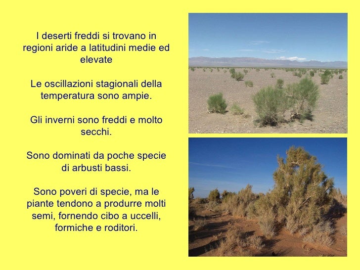 I deserti I deserti