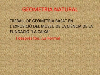 GEOMETRIA NATURAL ,[object Object],[object Object]