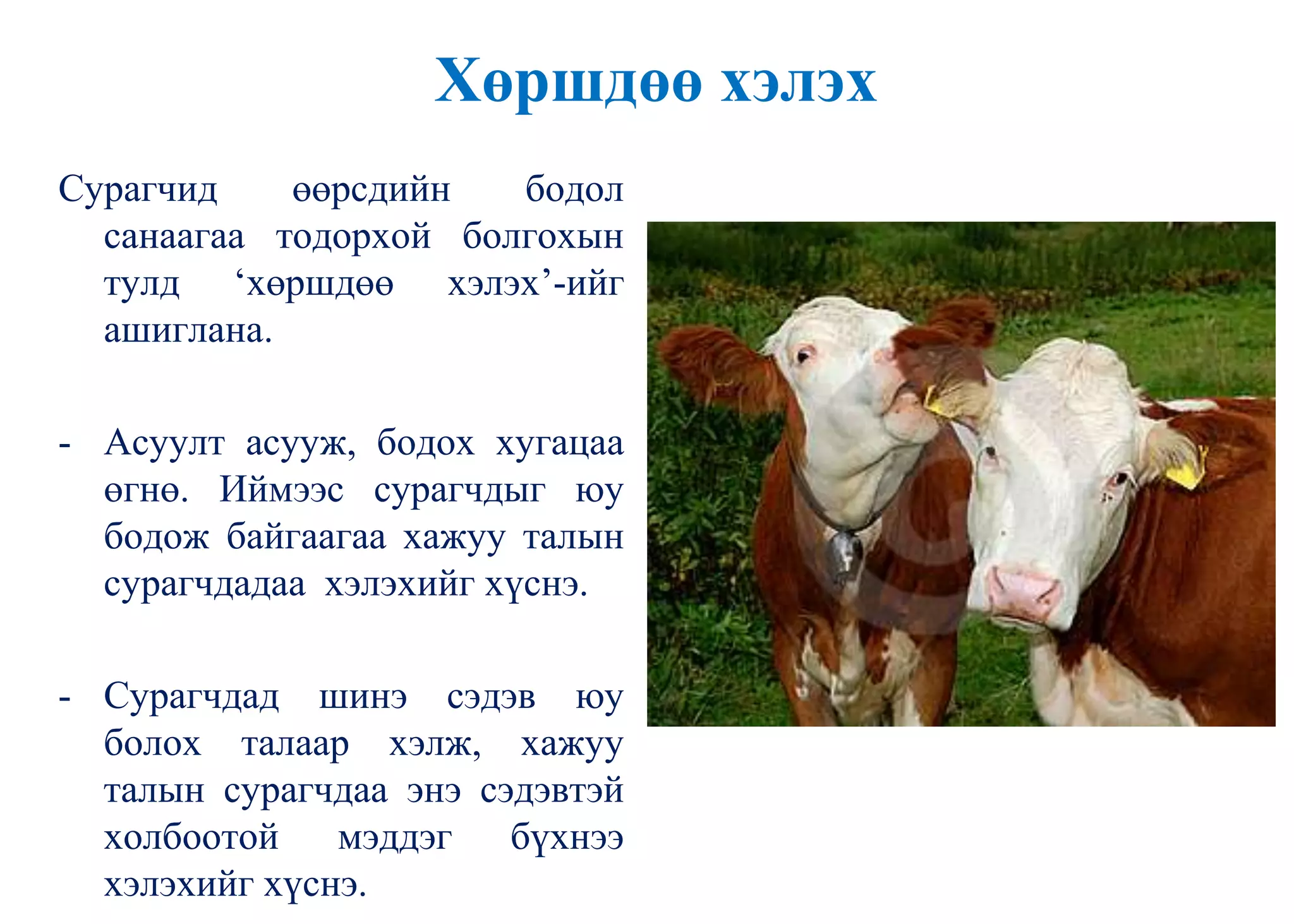 Хөршдөө хэлэх
Сурагчид өөрсдийн бодол
санаагаа тодорхой болгохын
тулд „хөршдөө хэлэх‟-ийг
ашиглана.
- Асуулт асууж, бодох хугацаа
өгнө. Иймээс сурагчдыг юу
бодож байгаагаа хажуу талын
сурагчдадаа хэлэхийг хүснэ.
- Сурагчдад шинэ сэдэв юу
болох талаар хэлж, хажуу
талын сурагчдаа энэ сэдэвтэй
холбоотой мэддэг бүхнээ
хэлэхийг хүснэ.
 