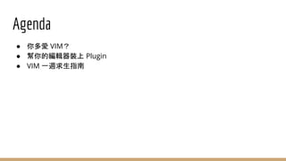 將 IDE 變成 VIM: How to turn your IntelliJ IDEA to VIM | PPTX