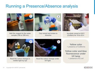 IDEXX KK_-Nordics_FINAL_with TECTA+Crypto.pdf