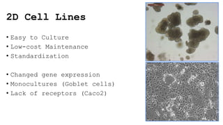 IDEXX Presentation Veterinary Organoids | PPTX
