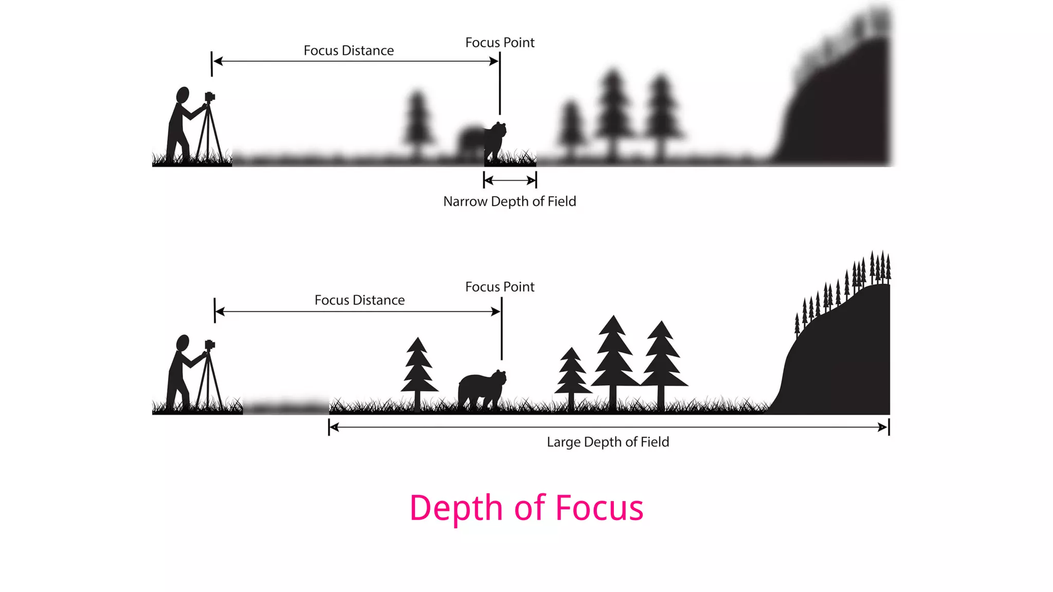 Depth of Focus
 