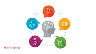 Human Senses
 