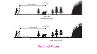 Depth of Focus
 