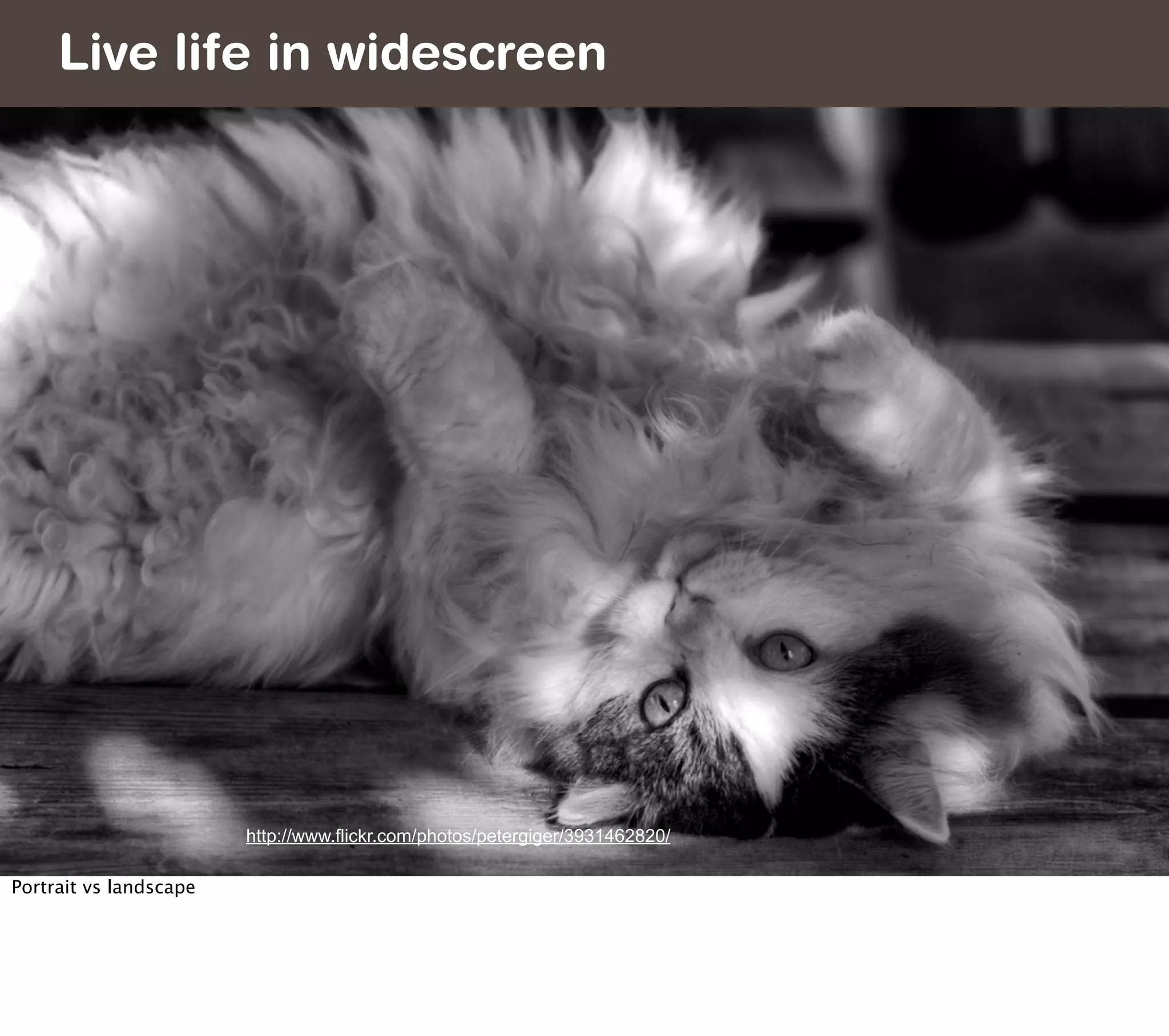 Live life in widescreen




                        http://www.flickr.com/photos/petergiger/3931462820/

Portrait vs landscape
 
