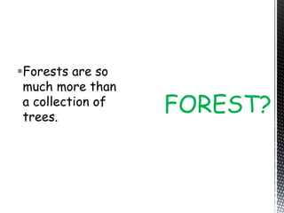 Forests are so
much more than
a collection of
trees.
FOREST?
 
