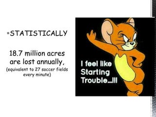 STATISTICALLY
18.7 million acres
are lost annually,
(equivalent to 27 soccer fields
every minute)
 