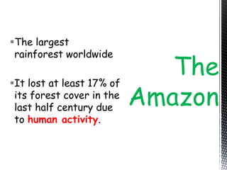The largest
rainforest worldwide
It lost at least 17% of
its forest cover in the
last half century due
to human activity.
The
Amazon
 