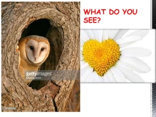 WHAT DO YOU
SEE?
 