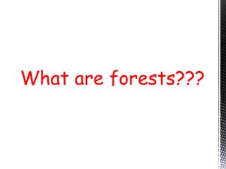 What are forests???
 