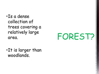 Is a dense
collection of
trees covering a
relatively large
area.
It is larger than
woodlands.
FOREST?
 