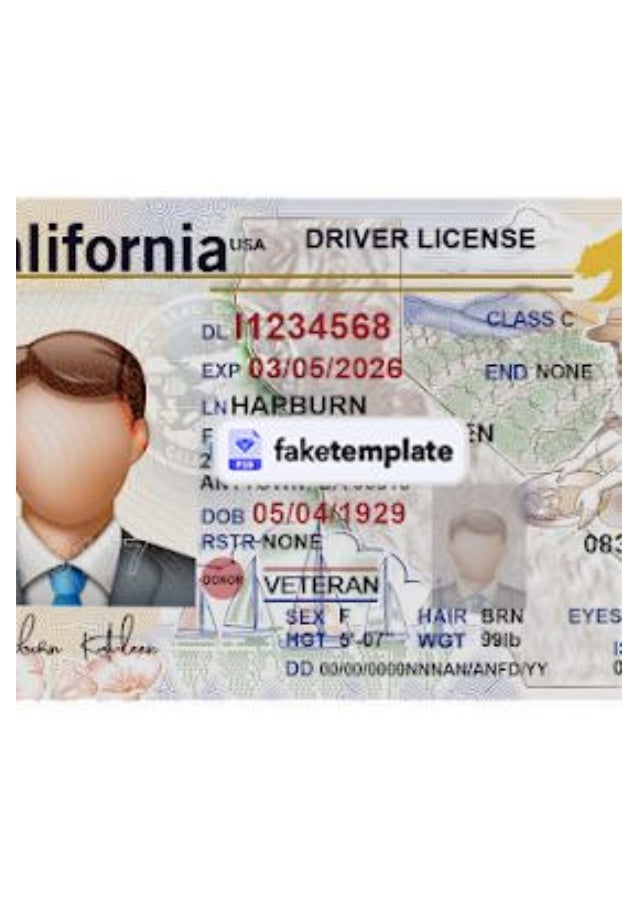 Drivers License Template Editable Drivers License Printable Template