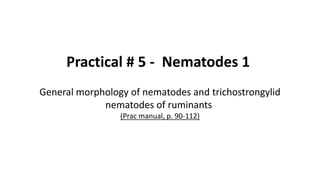 Practical # 5 - Nematodes 1
General morphology of nematodes and trichostrongylid
nematodes of ruminants
(Prac manual, p. 90-112)
 