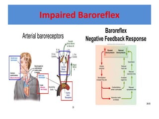 Impaired Baroreflex
 