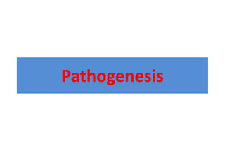 Pathogenesis
 