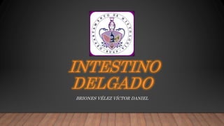 INTESTINO
DELGADO
BRIONES VÉLEZ VÍCTOR DANIEL
 